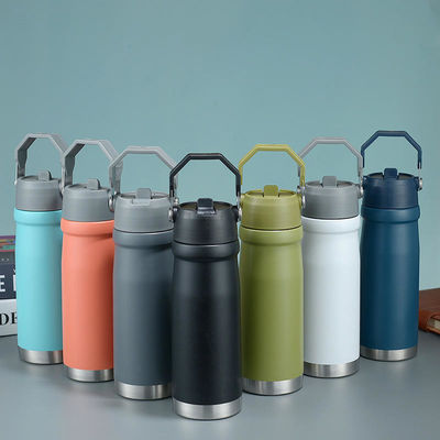 550 ml/650 ml Outdoor-Sportwasserflasche mit Straight Drink und isoliertem Design