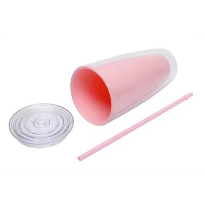 TOUR Anwendbar Erwachsene 24oz BPA-freier Doppelwand-Plastik-Tumbler mit Stroh und Deckel