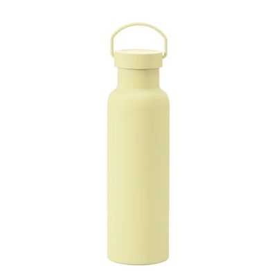 Doppelwandige Vakuumflasche aus Edelstahl, solide Farbe, isolierte Tasse für Geschäftsgeschenke