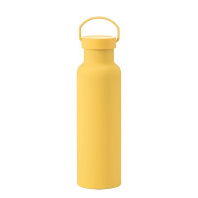 Doppelwandige Vakuumflasche aus Edelstahl, solide Farbe, isolierte Tasse für Geschäftsgeschenke