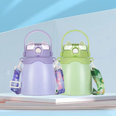Outdoor-Stil benutzerdefinierte Doppelwand Vakuumflasche Edelstahl Wasserflasche mit Stroh