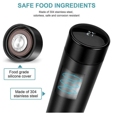 BPA-freie Vakuum-isolierte Thermosflasche mit LED-Temperaturanzeige und Tee-Infuser