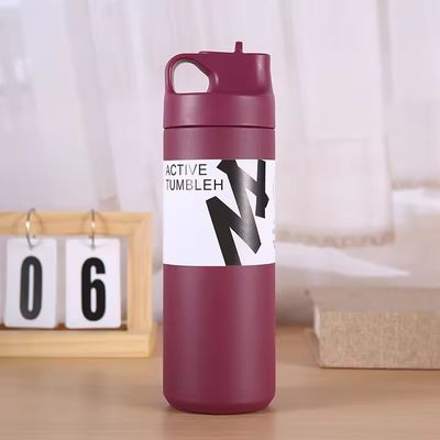 550 ml Tumbler nachhaltige Doppelwand Isolierte Vakuumflasche für Tee Wasser und Kaffee