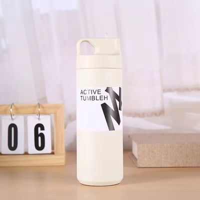 550 ml Tumbler nachhaltige Doppelwand Isolierte Vakuumflasche für Tee Wasser und Kaffee
