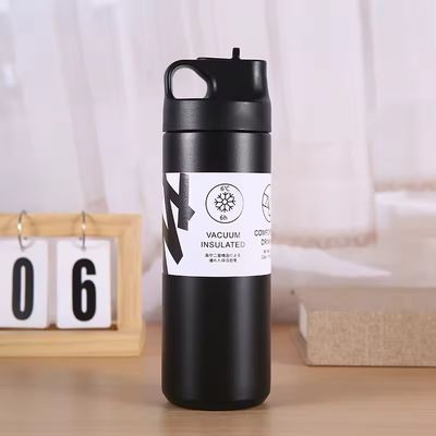 550 ml Tumbler nachhaltige Doppelwand Isolierte Vakuumflasche für Tee Wasser und Kaffee