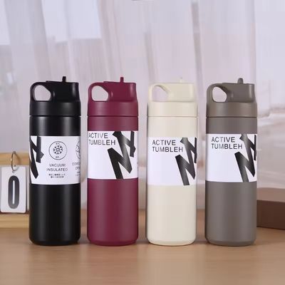 550 ml Tumbler nachhaltige Doppelwand Isolierte Vakuumflasche für Tee Wasser und Kaffee