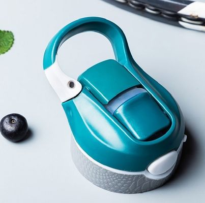 Anwendbares Siedendes Wasser 750 ml Tritan Plastik Sportwasserflasche mit Griff für Erwachsene