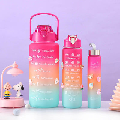 Custom Logo 3 in 1 Set Flasche 250g 120g 63g Stil Tomatodos Plastik Wasserflasche