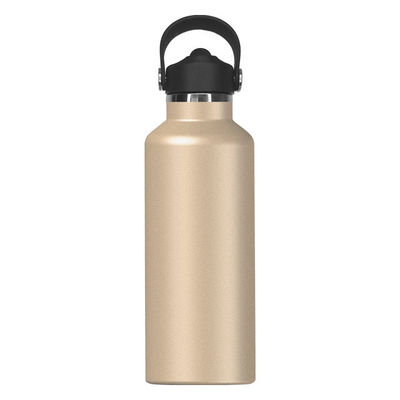 650ml Edelstahl-Wasserflasche mit Isolierwasser modernes Design für aktive Kinder und im Freien