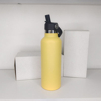 650ml Edelstahl-Wasserflasche mit Isolierwasser modernes Design für aktive Kinder und im Freien