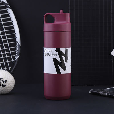 Außen Camping Gerade Tasse Doppelwand Edelstahl Vakuum-Wasser-Tumbler mit Stroh