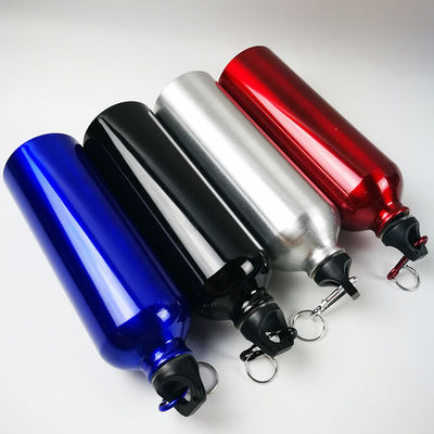 Wärmedämmungsleistung 500 ml Sublimation Bpa-freie Sport-Aluminium-Wasserflasche