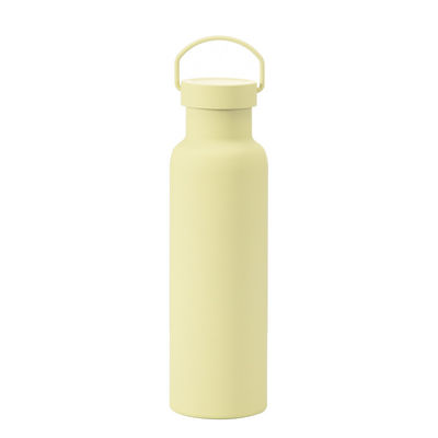 CLASSIC Design Stil Edelstahl isolierte Wasserflasche mit Griff Öko-freundlich